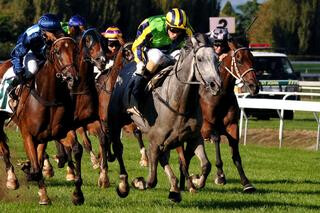 Magrove (the grey) leads the field home in the Awapuni Gold Cup. Photo Credit: Race Images, Palmerston North.